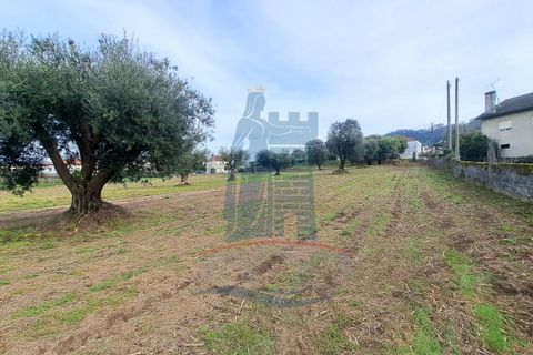 Helårsgrund i Ponte de Lima, Viana do Castelo, Ponte de Lima - € 280.000 | Ref: 6100 - foto 7