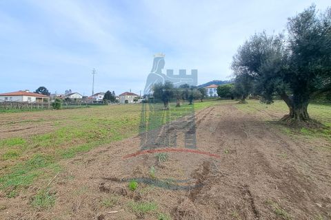 Helårsgrund i Ponte de Lima, Viana do Castelo, Ponte de Lima - € 280.000 | Ref: 6100 - foto 8
