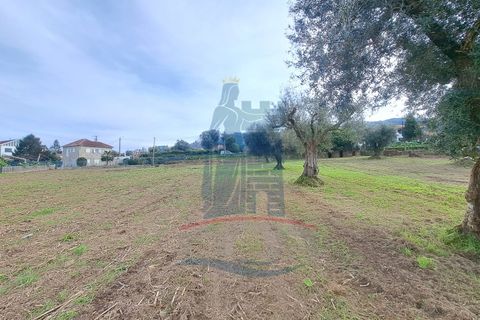 Helårsgrund i Ponte de Lima, Viana do Castelo, Ponte de Lima - € 280.000 | Ref: 6100 - foto 9