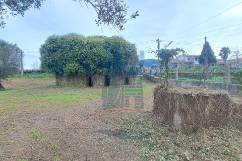 Helårsgrund i Ponte de Lima, Viana do Castelo, Ponte de Lima - € 280.000 | Ref: 6100 - foto 10