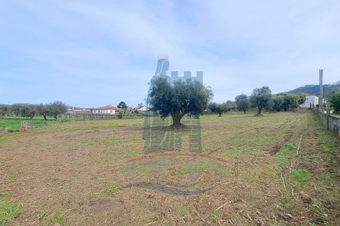Helårsgrund i Ponte de Lima, Viana do Castelo, Ponte de Lima - € 280.000 | Ref: 6100 - foto 12