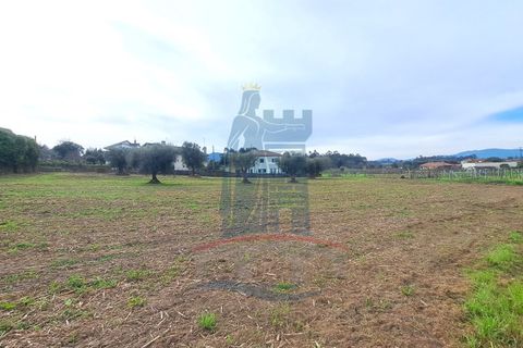 Helårsgrund i Ponte de Lima, Viana do Castelo, Ponte de Lima - € 280.000 | Ref: 6100 - foto 13