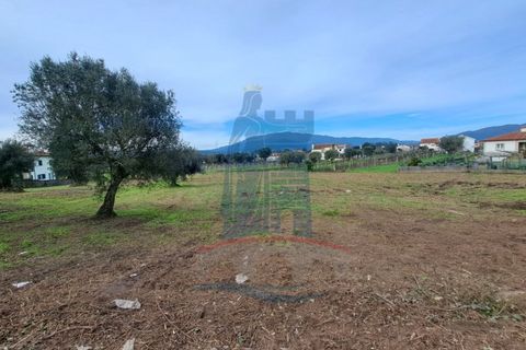 Helårsgrund i Ponte de Lima, Viana do Castelo, Ponte de Lima - € 280.000 | Ref: 6100 - foto 14