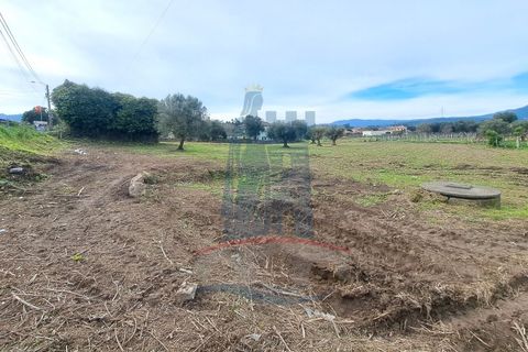 Helårsgrund i Ponte de Lima, Viana do Castelo, Ponte de Lima - € 280.000 | Ref: 6100 - foto 15