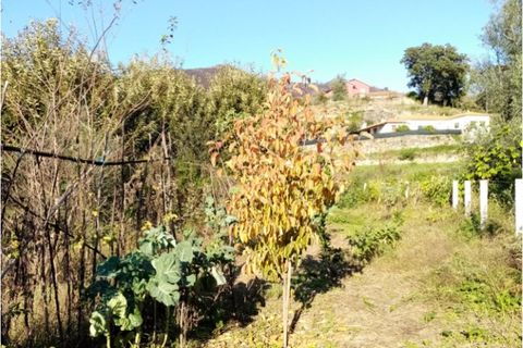 Helårsgrund i Ponte de Lima, Viana do Castelo, Ponte de Lima - € 9.500 | Ref: 5447 - foto 2