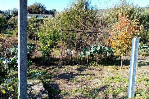 Helårsgrund i Ponte de Lima, Viana do Castelo, Ponte de Lima - € 9.500 | Ref: 5447 - foto 3