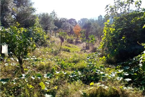 Helårsgrund i Ponte de Lima, Viana do Castelo, Ponte de Lima - € 9.500 | Ref: 5447 - foto 4