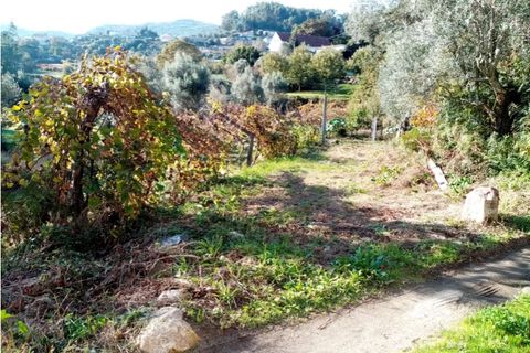 Helårsgrund i Ponte de Lima, Viana do Castelo, Ponte de Lima - € 9.500 | Ref: 5447 - foto 7