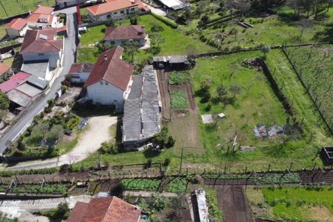 Helårsgrund i Ponte de Lima, Viana do Castelo, Ponte de Lima - € 89.000 | Ref: 6116 - foto 3