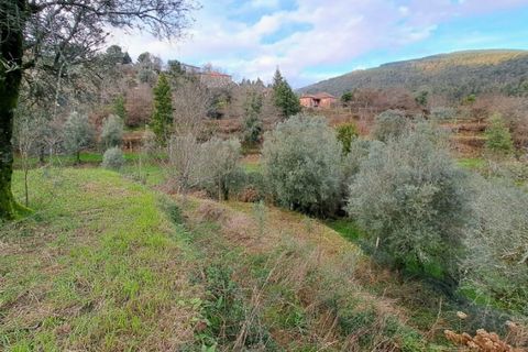 Helårsgrund i Ponte de Lima, Viana do Castelo, Ponte de Lima - € 6.900 | Ref: 5921 - foto 2