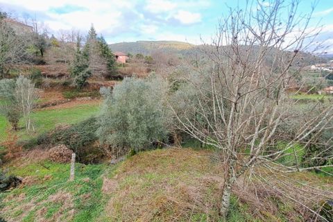 Helårsgrund i Ponte de Lima, Viana do Castelo, Ponte de Lima - € 6.900 | Ref: 5921 - foto 3