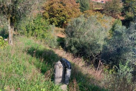 Helårsgrund i Ponte de Lima, Viana do Castelo, Ponte de Lima - € 6.900 | Ref: 5921 - foto 6