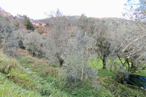 Helårsgrund i Ponte de Lima, Viana do Castelo, Ponte de Lima - € 6.900 | Ref: 5921 - foto 7