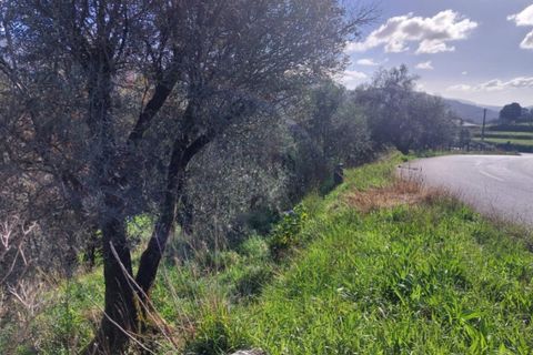 Helårsgrund i Ponte de Lima, Viana do Castelo, Ponte de Lima - € 6.900 | Ref: 5921 - foto 8