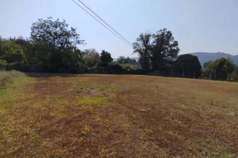 Helårsgrund i Ponte de Lima, Viana do Castelo, Ponte de Lima - € 80.000 | Ref: 6229 - foto 3