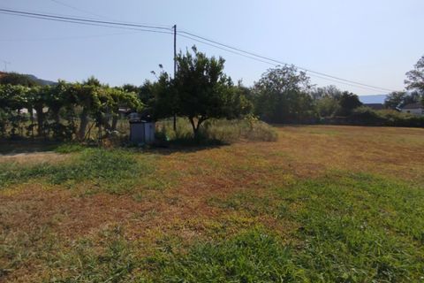 Helårsgrund i Ponte de Lima, Viana do Castelo, Ponte de Lima - € 80.000 | Ref: 6229 - foto 4
