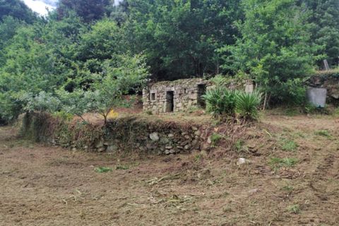 Landejendom i Ponte de Lima, Viana do Castelo, Ponte de Lima - € 79.000 | Ref: 5742 - foto 2
