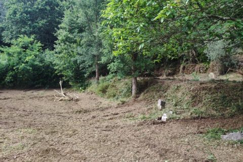 Landejendom i Ponte de Lima, Viana do Castelo, Ponte de Lima - € 79.000 | Ref: 5742 - foto 3