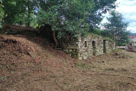 Landejendom i Ponte de Lima, Viana do Castelo, Ponte de Lima - € 79.000 | Ref: 5742 - foto 4