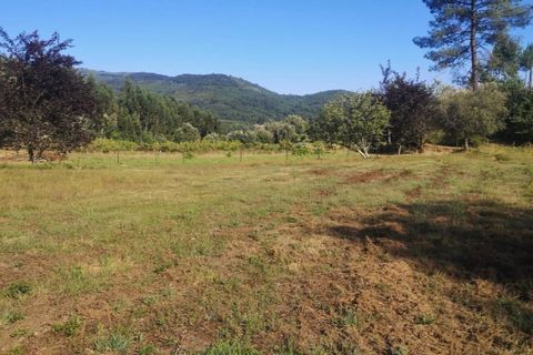 Landejendom i Ponte de Lima, Viana do Castelo, Ponte de Lima - € 79.000 | Ref: 5742 - foto 5