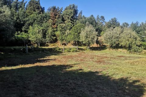 Landejendom i Ponte de Lima, Viana do Castelo, Ponte de Lima - € 79.000 | Ref: 5742 - foto 6