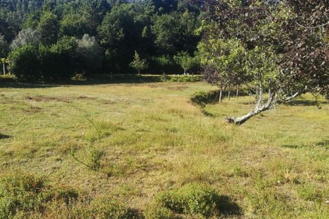 Landejendom i Ponte de Lima, Viana do Castelo, Ponte de Lima - € 79.000 | Ref: 5742 - foto 8