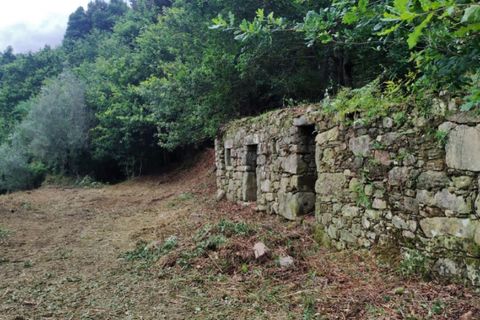 Landejendom i Ponte de Lima, Viana do Castelo, Ponte de Lima - € 79.000 | Ref: 5742 - foto 9