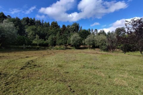 Landejendom i Ponte de Lima, Viana do Castelo, Ponte de Lima - € 79.000 | Ref: 5742 - foto 10