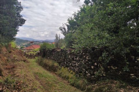 Landejendom i Ponte de Lima, Viana do Castelo, Ponte de Lima - € 79.000 | Ref: 5742 - foto 11