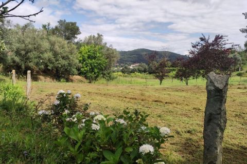 Landejendom i Ponte de Lima, Viana do Castelo, Ponte de Lima - € 79.000 | Ref: 5742 - foto 12