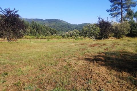 Landejendom i Ponte de Lima, Viana do Castelo, Ponte de Lima - € 79.000 | Ref: 5742 - foto 13