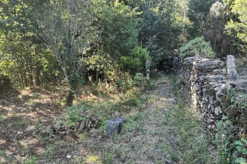 Landejendom i Ponte de Lima, Viana do Castelo, Ponte de Lima - € 79.000 | Ref: 5742 - foto 14