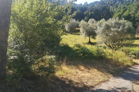 Landejendom i Ponte de Lima, Viana do Castelo, Ponte de Lima - € 79.000 | Ref: 5742 - foto 15