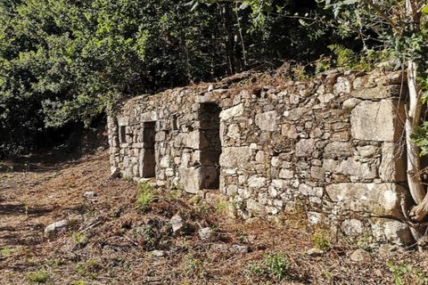 Landejendom i Ponte de Lima, Viana do Castelo, Ponte de Lima - € 79.000 | Ref: 5742 - foto 16