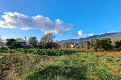 Helårsgrund i Ponte de Lima, Viana do Castelo, Ponte de Lima - € 98.000 | Ref: 6044 - foto 3