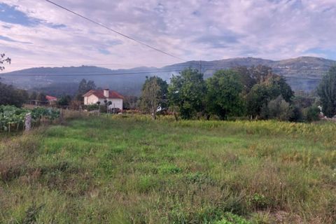 Helårsgrund i Ponte de Lima, Viana do Castelo, Ponte de Lima - € 98.000 | Ref: 6044 - foto 6