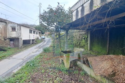 Villa i Ponte de Lima, Viana do Castelo, Ponte de Lima - € 79.000 | Ref: 6207 - foto 8
