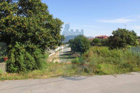 Helårsgrund i Ponte de Lima, Viana do Castelo, Ponte de Lima - € 37.000 | Ref: 5254 - foto 3
