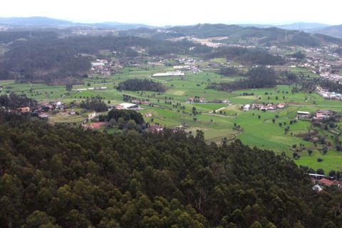 Helårsgrund i Ponte de Lima, Viana do Castelo, Ponte de Lima - € 19.000 | Ref: 6108 - foto 4