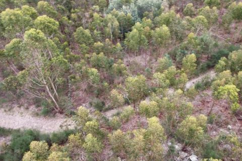 Helårsgrund i Ponte de Lima, Viana do Castelo, Ponte de Lima - € 19.000 | Ref: 6108 - foto 5