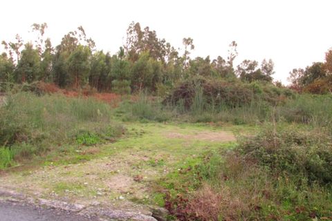 Helårsgrund i Ponte de Lima, Viana do Castelo, Ponte de Lima - € 110.000 | Ref: 5280 - foto 2
