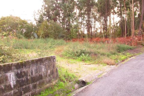 Helårsgrund i Ponte de Lima, Viana do Castelo, Ponte de Lima - € 110.000 | Ref: 5280 - foto 3