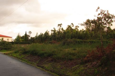 Helårsgrund i Ponte de Lima, Viana do Castelo, Ponte de Lima - € 110.000 | Ref: 5280 - foto 4