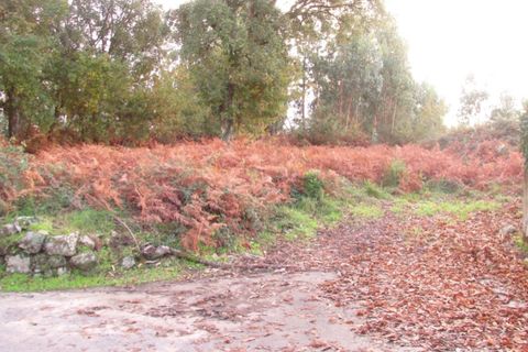 Helårsgrund i Ponte de Lima, Viana do Castelo, Ponte de Lima - € 110.000 | Ref: 5280 - foto 6