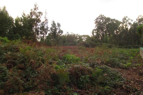 Helårsgrund i Ponte de Lima, Viana do Castelo, Ponte de Lima - € 110.000 | Ref: 5280 - foto 7