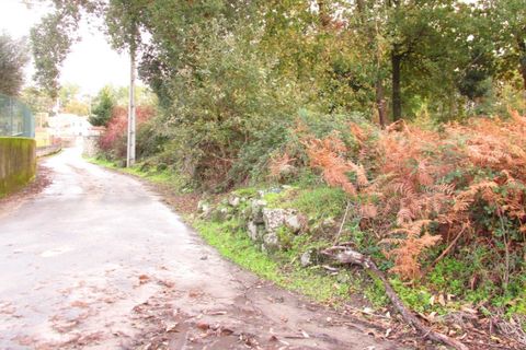 Helårsgrund i Ponte de Lima, Viana do Castelo, Ponte de Lima - € 110.000 | Ref: 5280 - foto 8