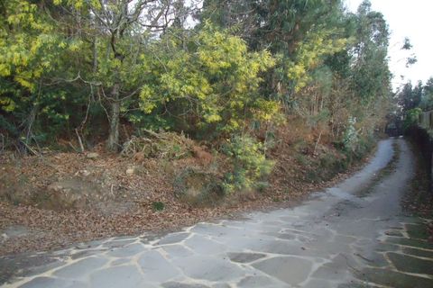Helårsgrund i Ponte de Lima, Viana do Castelo, Ponte de Lima - € 106.500 | Ref: 4660 - foto 2