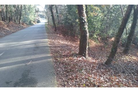 Helårsgrund i Ponte de Lima, Viana do Castelo, Ponte de Lima - € 106.500 | Ref: 4660 - foto 3