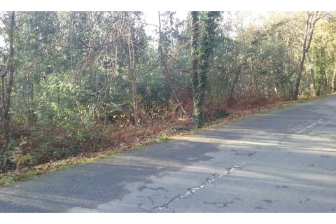 Helårsgrund i Ponte de Lima, Viana do Castelo, Ponte de Lima - € 106.500 | Ref: 4660 - foto 4