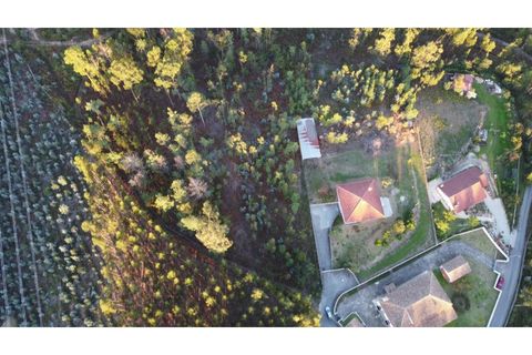 Helårsgrund i Ponte de Lima, Viana do Castelo, Ponte de Lima - € 50.000 | Ref: 5507 - foto 4